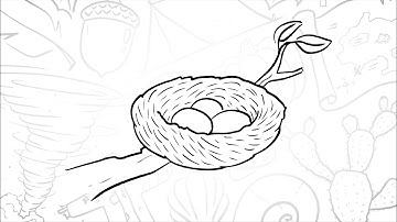 🌳 How to Draw a Simple Bird’s Nest | Step-by-Step Lesson 🐣