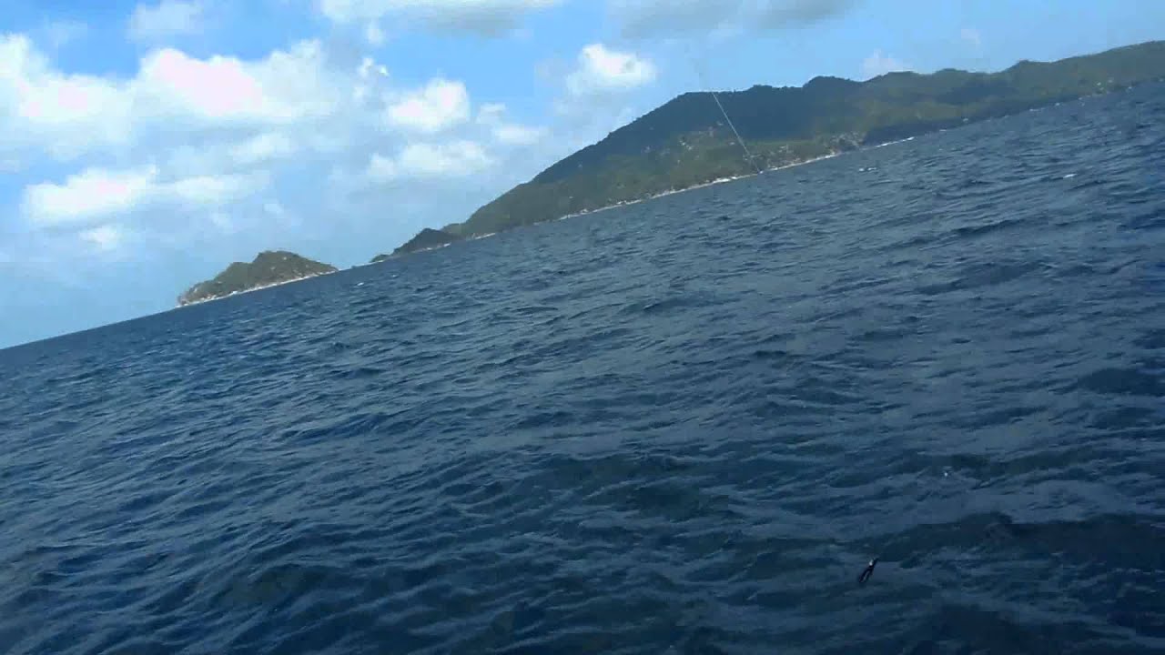 Koh Tao fishing YouTube