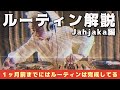 [DJバトル]Jah Jakaのルーティン解説 1/2【JP/ENG SUBTITLE】