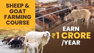 Sheep & Goat Farming Course Trailer - Earn Rs 1 Crore/Year | ffreedom app screenshot 4