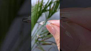 A Fairy Gifts You Her Secret Treasure…A Moss Agate Ring🧚‍♀️💚✨🌿