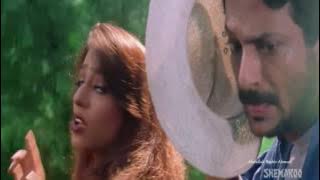 Sawali Hasina Kabhi Mil { Koi Kisi Se Kum Nahin 1997 } Bollywood Song l Kavita.Kumar Sanu l
