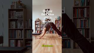 Qigong: Der Ochse pflügt das Feld
