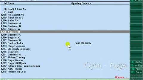Tally ERP 9 in Hindi  Audit Feature   1