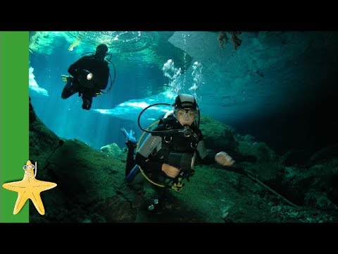 Tauchen in Mexikos Hhlen - Dos Ochos Cenote