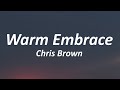 Chris Brown - WE (Warm Embrace) (Lyrics)