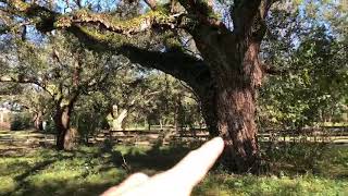 78458 Robert Penton Rd. video tour