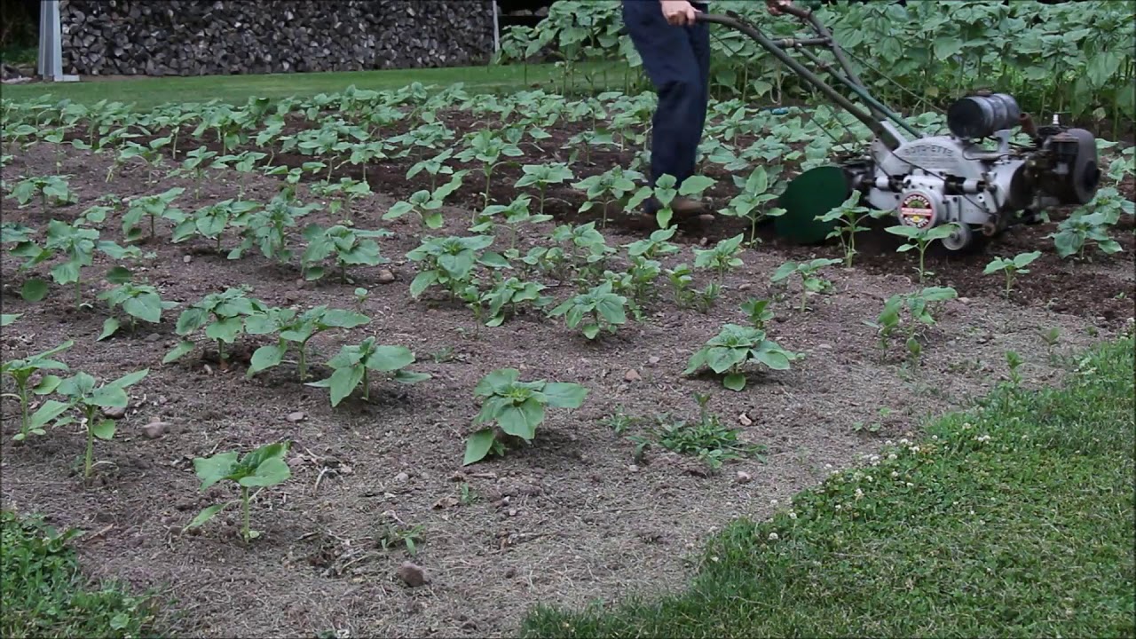 Home Gardener YouTube