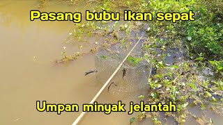 Pasang Bubu Ikan Sepat Umpan Minyak Jelantah