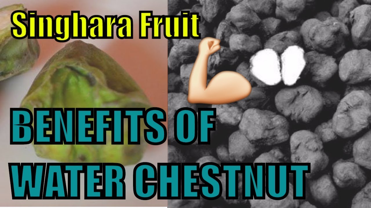 2019 year - 20 Best Benefits Of Water Chestnut (Singhara) For Skin, Hair And Health 2019 year
