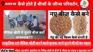 फसल बीजों मे DNA परिवर्तन कैसे होता हैं, प्राकृतिक, जैविक खेती मे पारम्परिक(पुराने)बीज क्यों आवश्यक