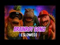Recreaite Studio Brainrot Song Feat Party Tunes Slowed