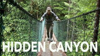 Fuji Greens with the Fuji GFX 50R