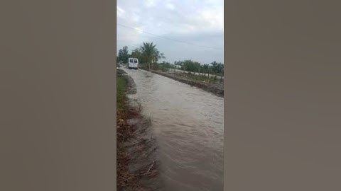 Sáng Ra Nhìn Thấy Cảnh Này🥺#quehuongvlog#Shorts