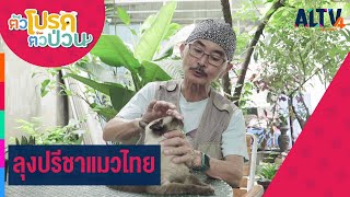 ลุงปรีชาแมวไทย | ตัวโปรด ตัวป่วน (3 มิ.ย. 65)