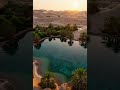Golden Serenity in Arabia | Edge of the World, Al Wahbah Crater &amp; Hidden Oasis 4K Cinematic