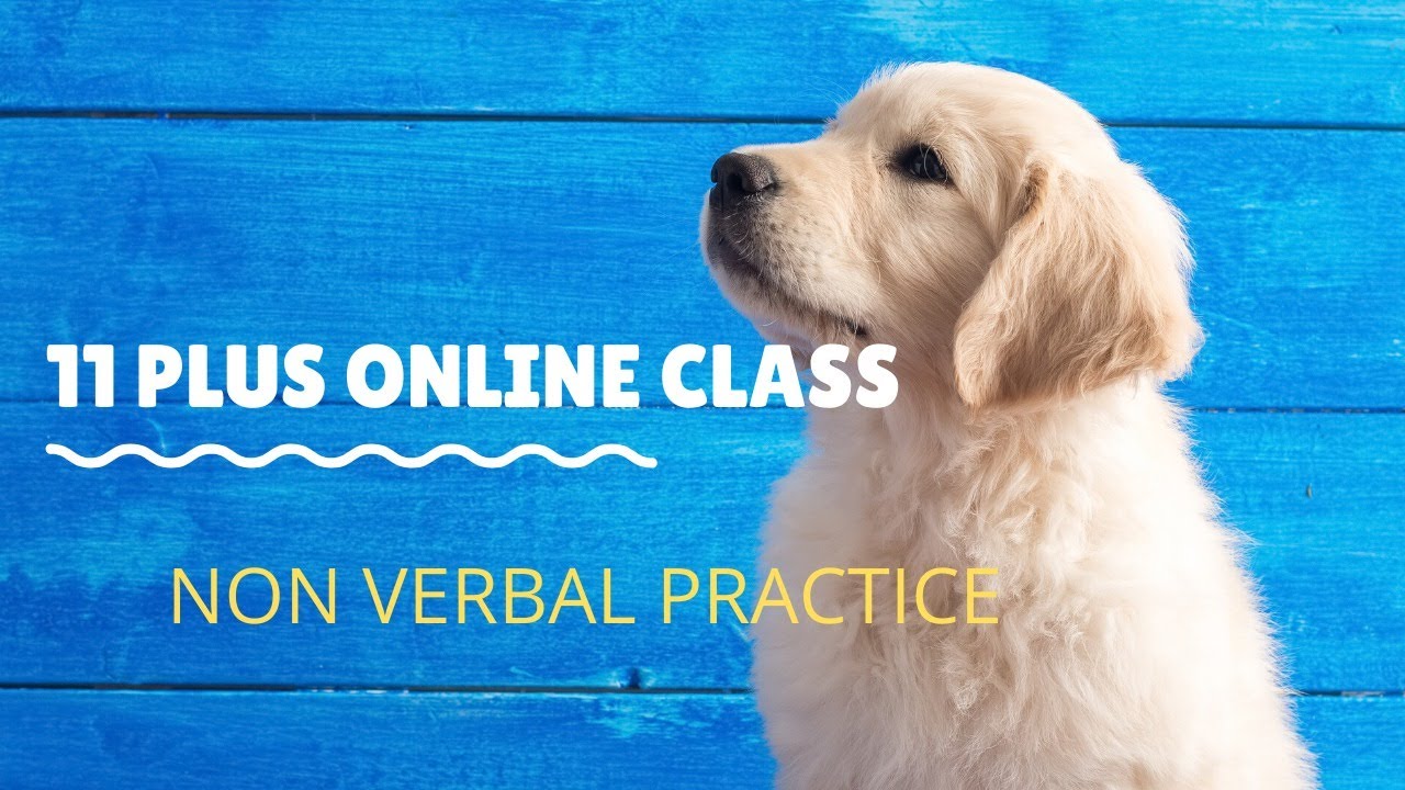 11 plus online class.Lets do Non -Verbal Reasoning and learn some