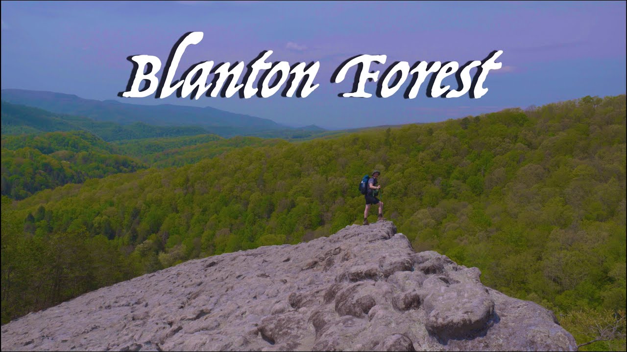 Blanton Forest // Exploring Eastern Kentucky's Old Growth, Mountainous ...