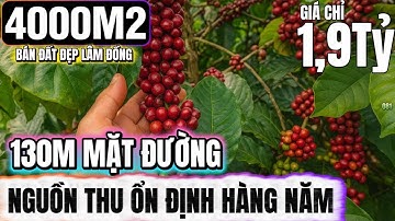 🔴Bán đất vườn lâm đồng đẹp gần 4000m2 nguồn thu ổn định bám suối view thoáng Lh : 0379.590.939