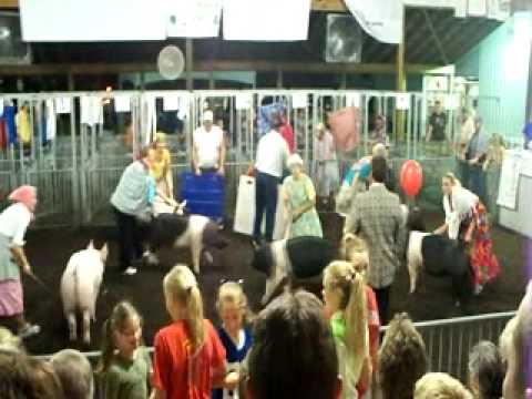 2009 Mercer County Ohio Fairs ladys hog showmanship.