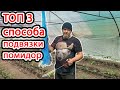 3 ЛУЧШИХ СПОСОБА Подвязки Помидор в теплице