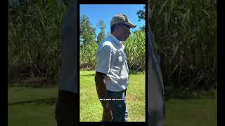History of Sugar cane. “Sugar cane came from New Guinea” ep.1