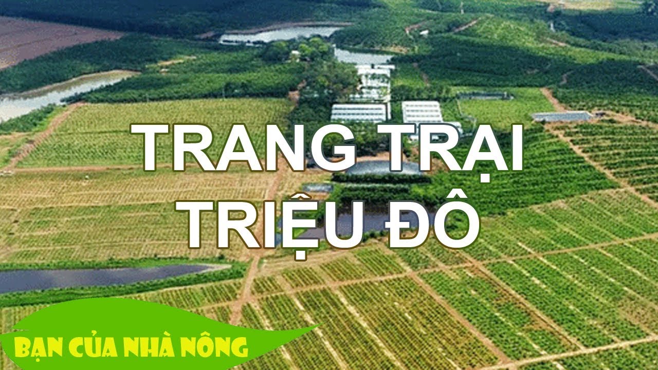 Khóa đầu tiên hoàn thành chương trình Hạt giống tài năng do Học viện Nông  nghiệp Việt Nam và Công ty Cổ phần GREENFEED Việt Nam phối hợp đào tạo