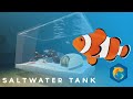 Our first saltwater aquarium! - FISHERY Timelapse