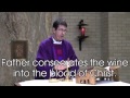 Teaching the Mass (with narration)