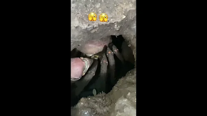 Massive and Terrifying Spider Discovered (Must See) Scary Comp - DayDayNews