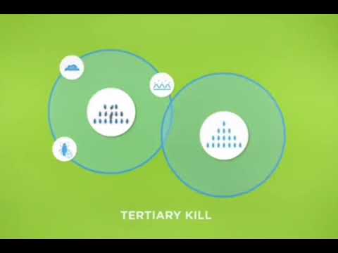 شركة مكافحة الصراصير بجدة إتقان كلين