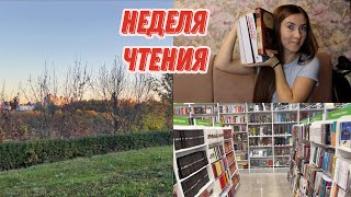 неделя чтения 📖 часть два | КНИЖНЫЕ ПОКУПКИ, &quot;Монах&quot; М. Г. Льюис