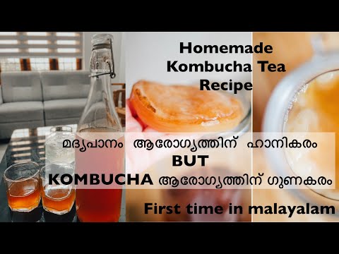 Видео: Американски учени са научили как да се прави кожа от Kombucha - Алтернативен изглед