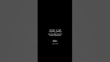 ألم تر أن الله يسجد له من في السماوات شاشة سوداء | كرومات قرآن كريم بصوت #ياسر_الدوسري |#سورة_الحج