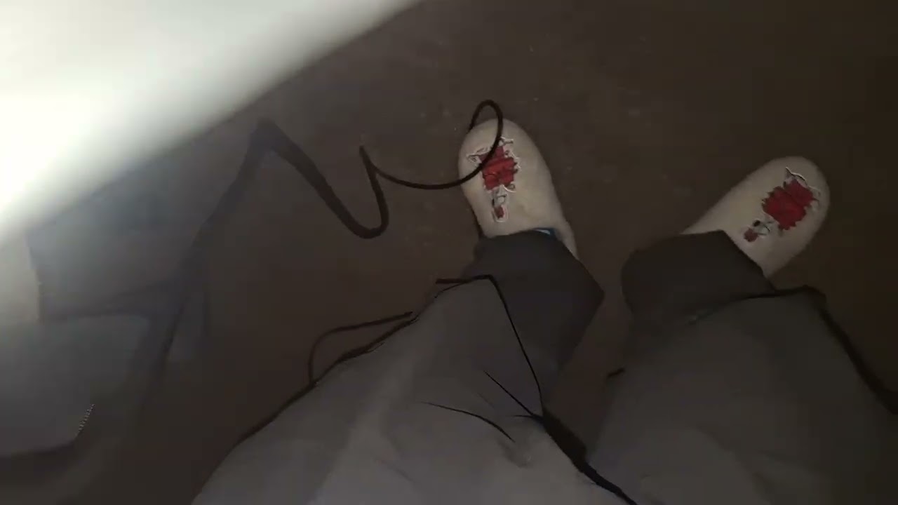 Vacuuming with dirt devil dynamite plus 