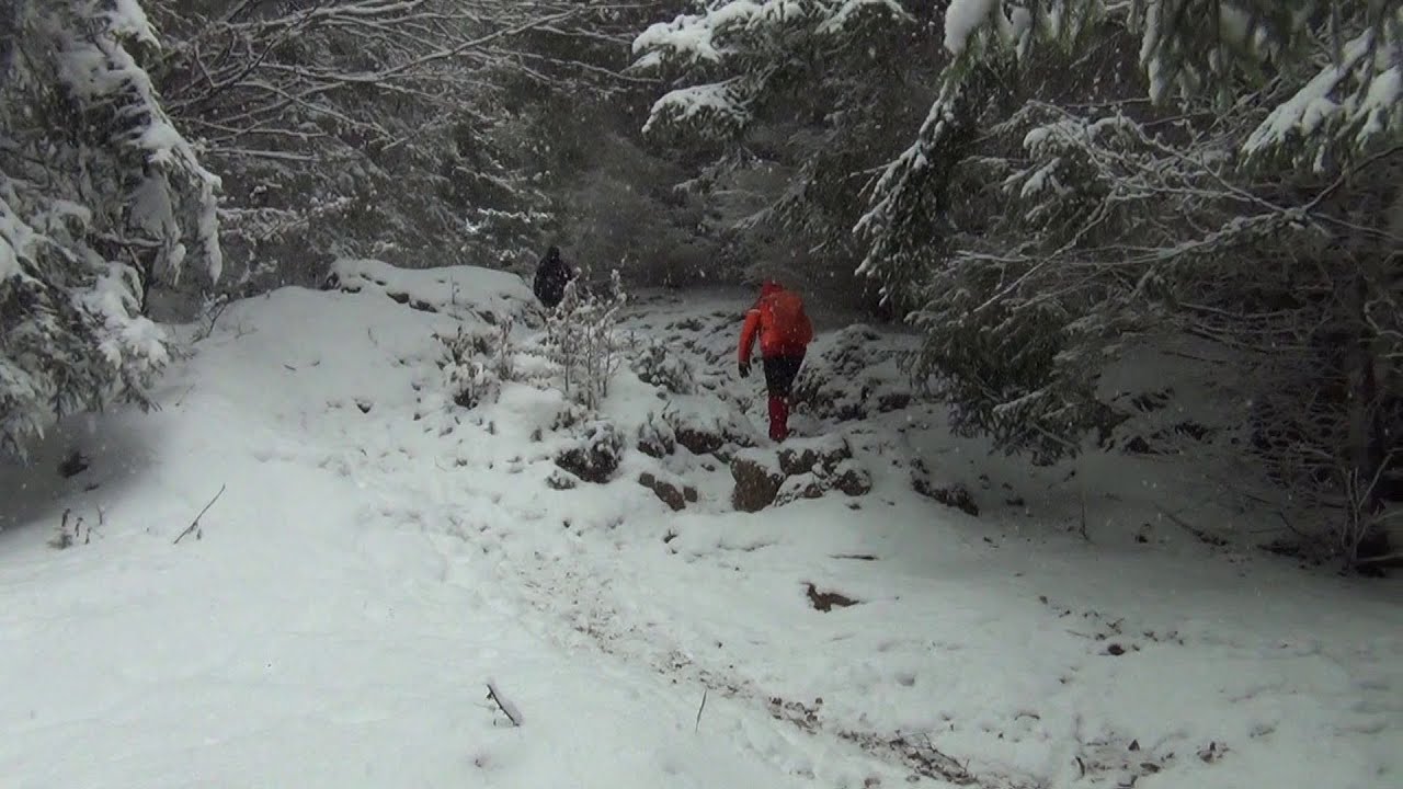 Busteni - Poiana Costilei