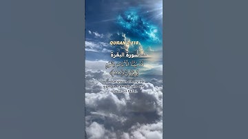 بديع السموات و الارض||Surah al-baqarah116-118||تلاوةالقرآن #albaqrah #quran #viralshort #محمد_الفقيه