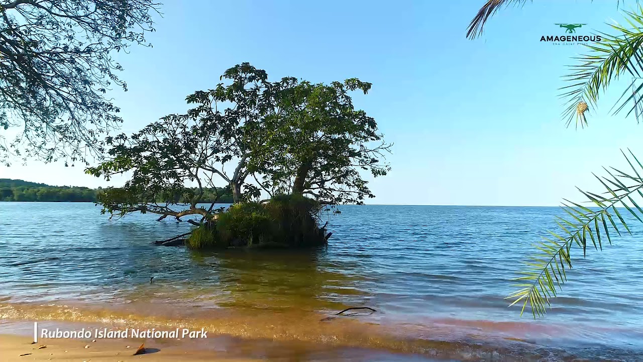 Rubondo Island National Park