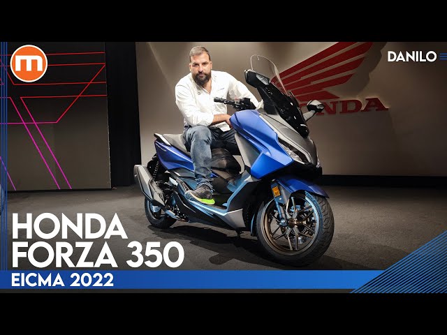 Honda Forza 350  A EICMA 2022 il lifting leggero del BESTSELLER giapponese  