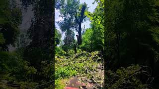 Нужно быть сильными чтобы во время грозы себя не сломало напополам