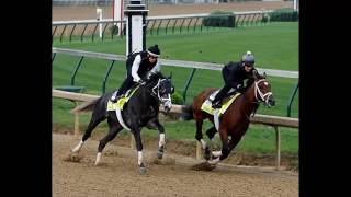 Kentucky Derby 2017: The Experts Make Their Picks  - kentucky derby contenders 2017 time
