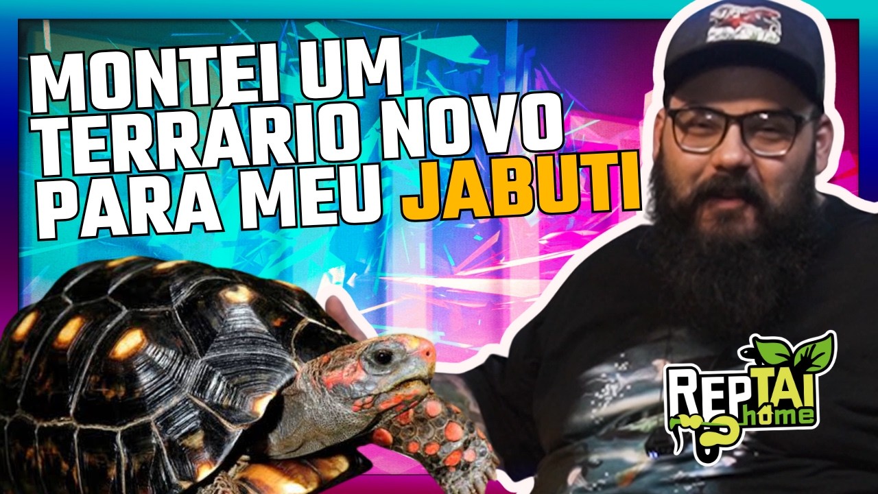 Tudo sobre TERRÁRIO para seu JABUTI (Chelonoides carbonaria) - Biólogo Tai