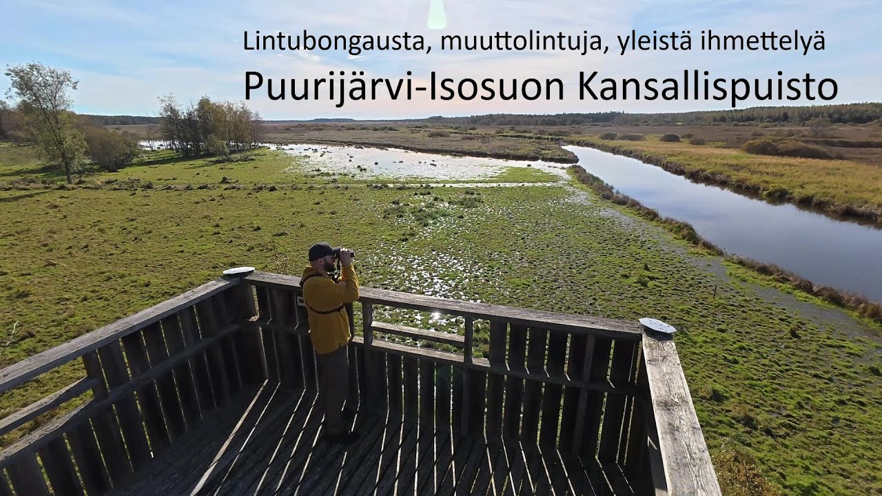 Päiväretki Puurijärvi-Isosuon kansallispuistoon