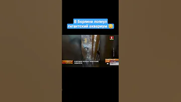 😳В Берлине ЛОПНУЛ гигантский аквариум❗️ #германия #берлин #чп #аквариум #shorts