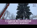 До Львова привезли і починають встановлювати головну ялинку. Стрім наживо