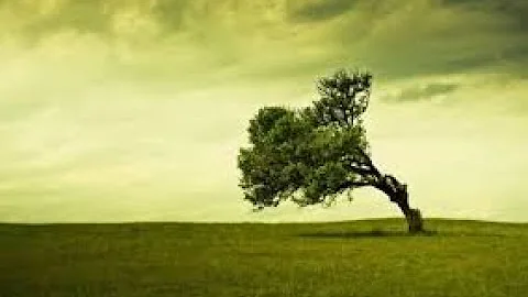 Handling the Job Stress? Insights to Create Resili...