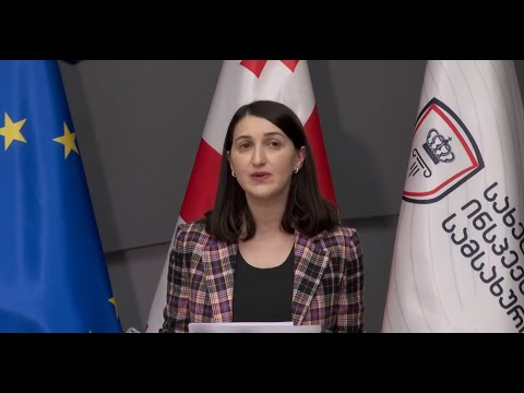 პარლამენტმა ძირი გამოუთხარა დამოუკიდებელ უწყებას  - თოლორაიას საგანგებო განცხადება