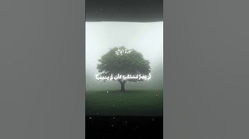 محمد اللحيدان - سورة الجاثية.    #quran #fyp
