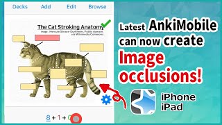 AnkiMobile can now create Image occlusions! ( Image cloze deletions, for iPone and iPad)