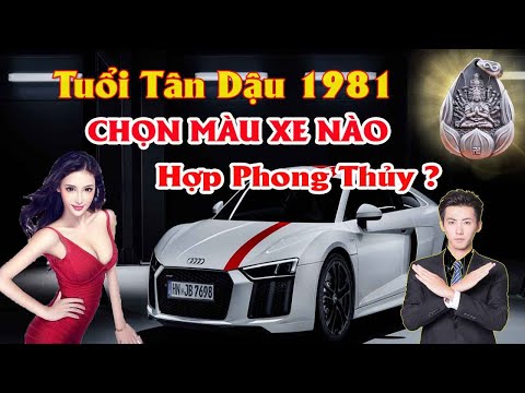 Tuổi Tân Dậu Hợp Màu Gì - Người Tuổi Tân Dậu Sinh Năm 1981 Nên Chọn Màu Xe Gì Hợp Phong Thủy Ý Nghĩa Màu Xe Với Bản Mệnh